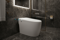 MODERN 1 PIECE SMART TOILET ZT-6508A