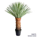 Indoor/Outdoor Plants
