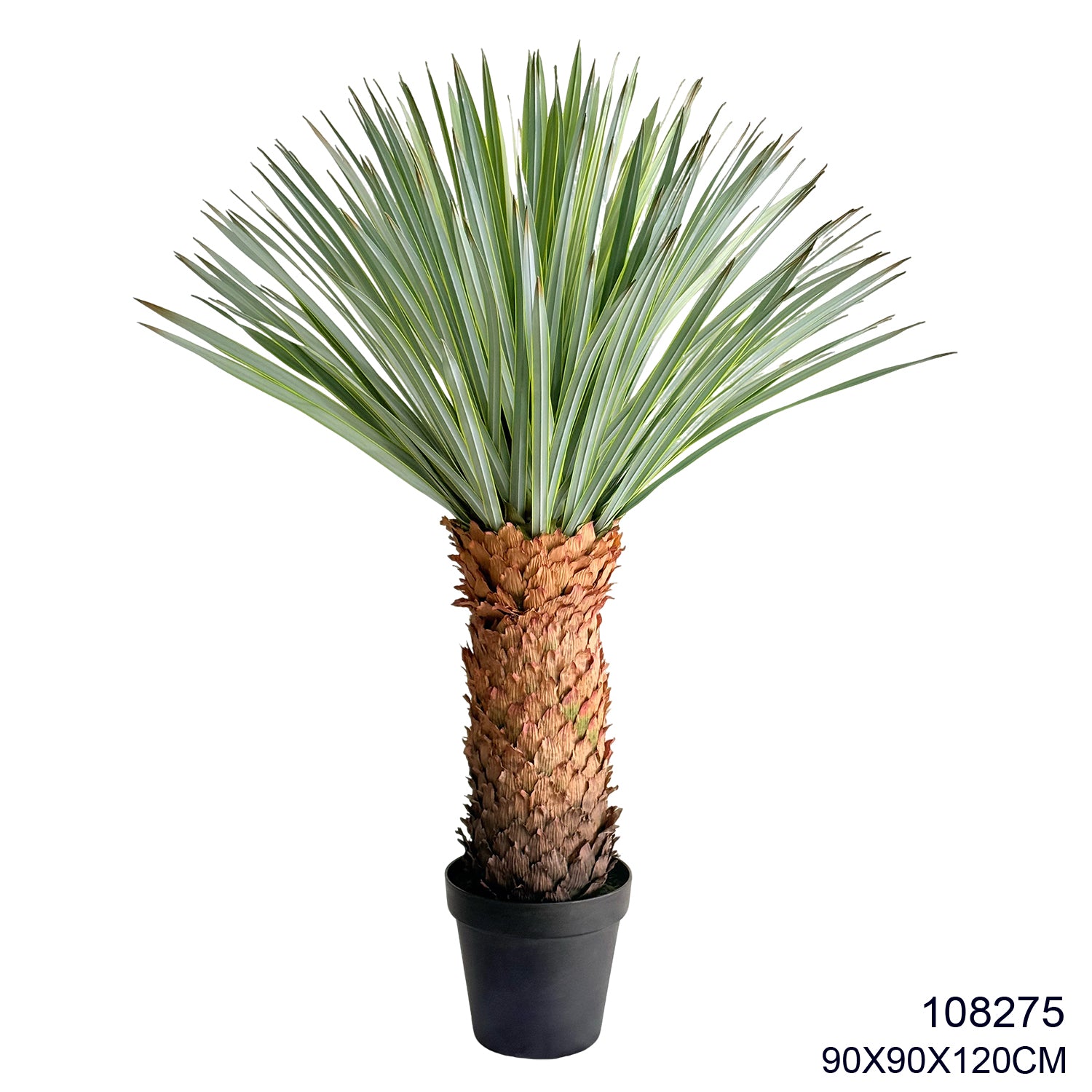 Indoor/Outdoor Plants