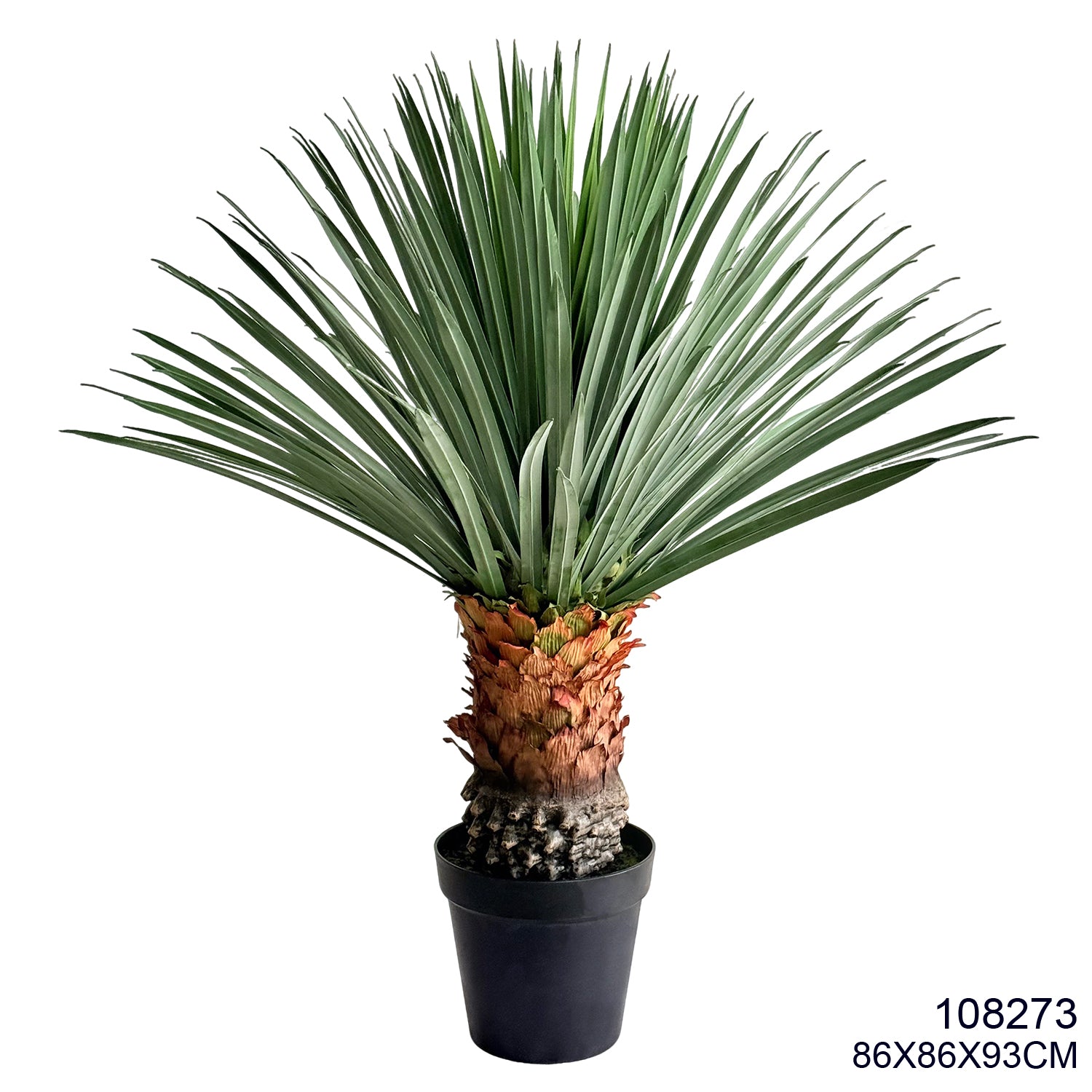 Indoor/Outdoor Plant