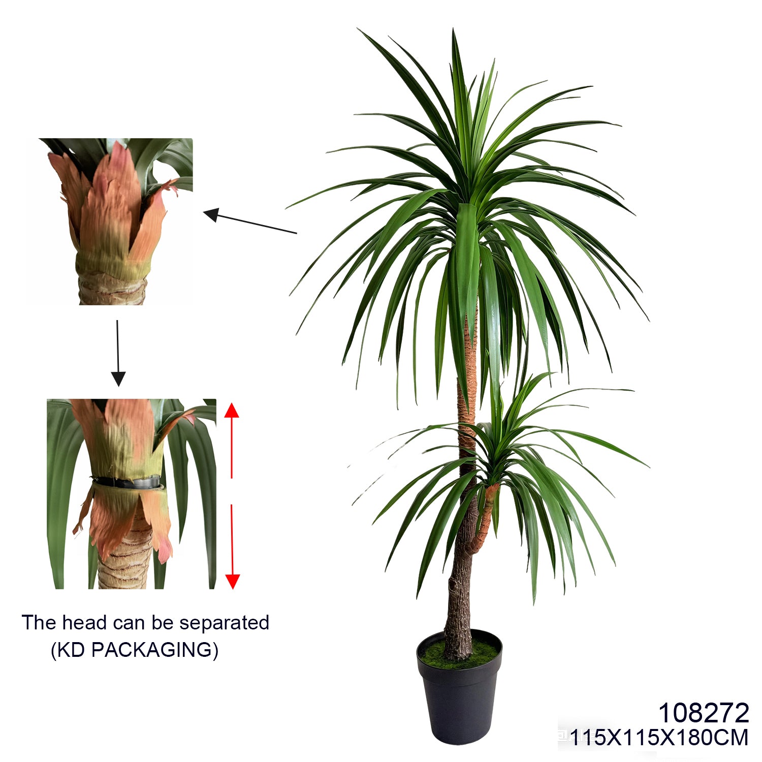 Indoor/Outdoor Plant