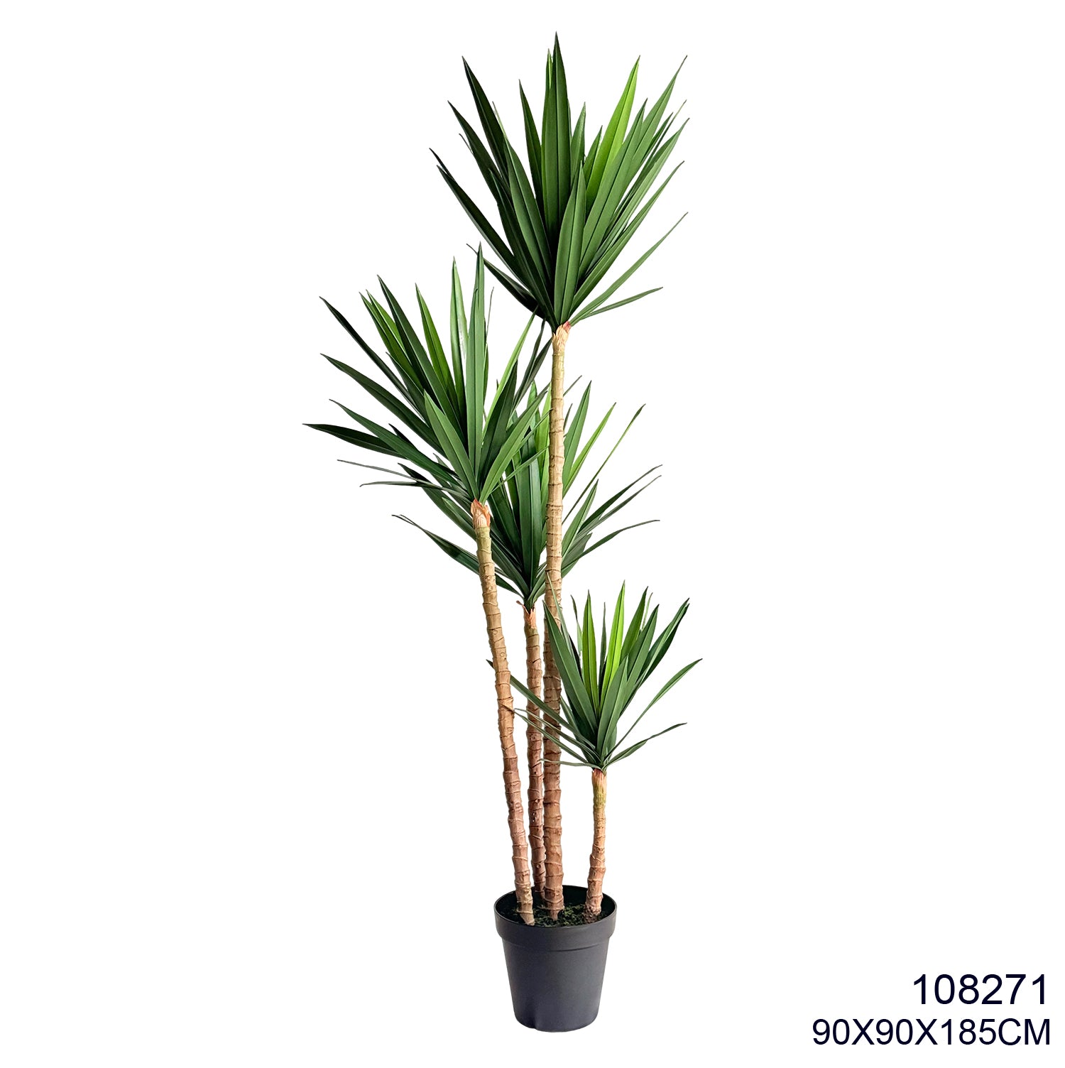 Indoor/Outdoor Plant