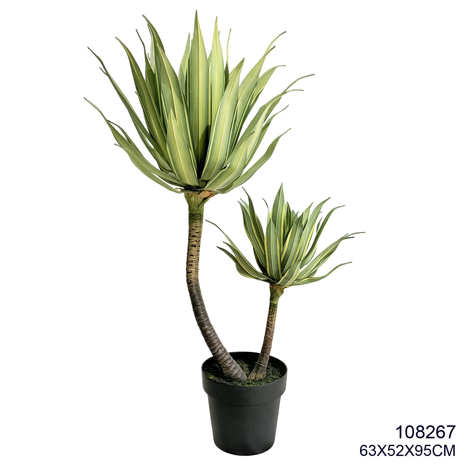 Indoor/Outdoor Plants