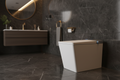 SMART TOILET ZT-69F2D