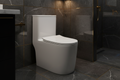 CERAMIC TOILET MT-6027