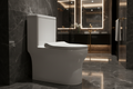 CERAMIC TOILET BOWL MT-6109