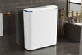 TOILET CISTERN SX-5205