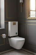 TOILET CISTERN SX-6098-1