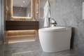 SMART TOILET ZT-6981A